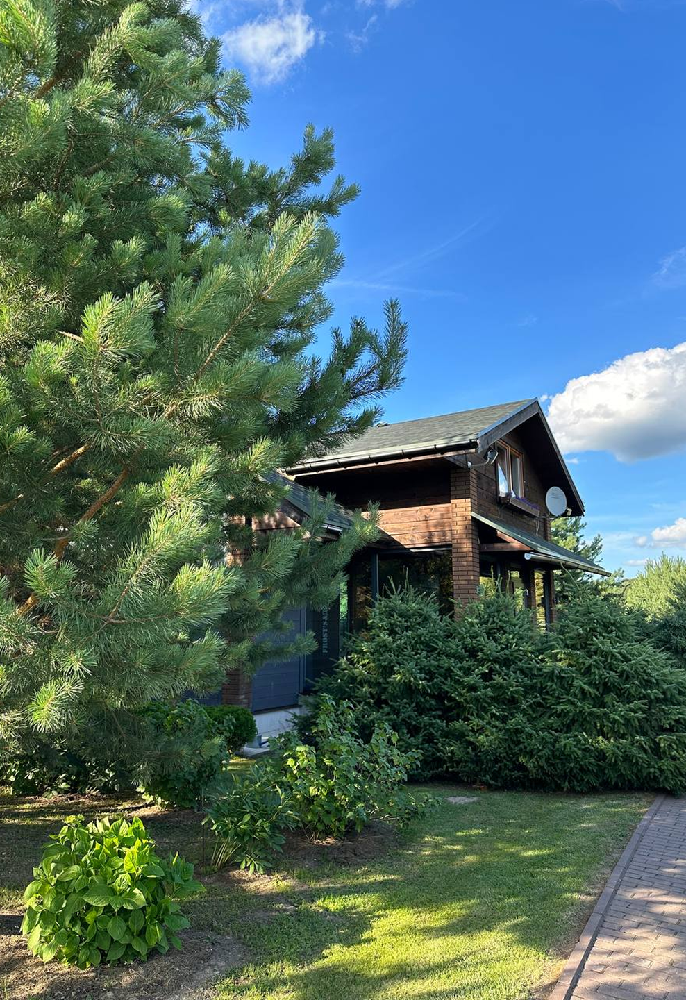 Chalet дом у леса