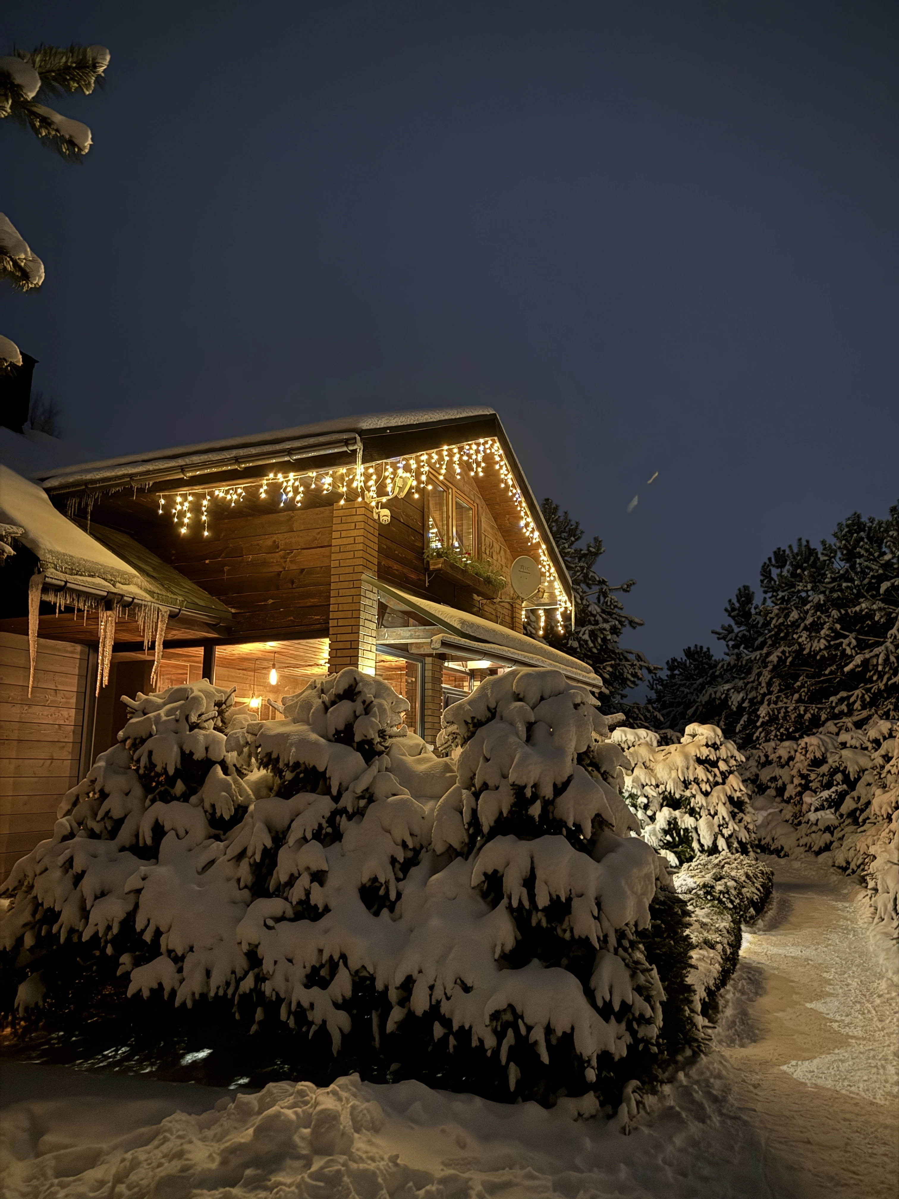 Chalet дом у леса